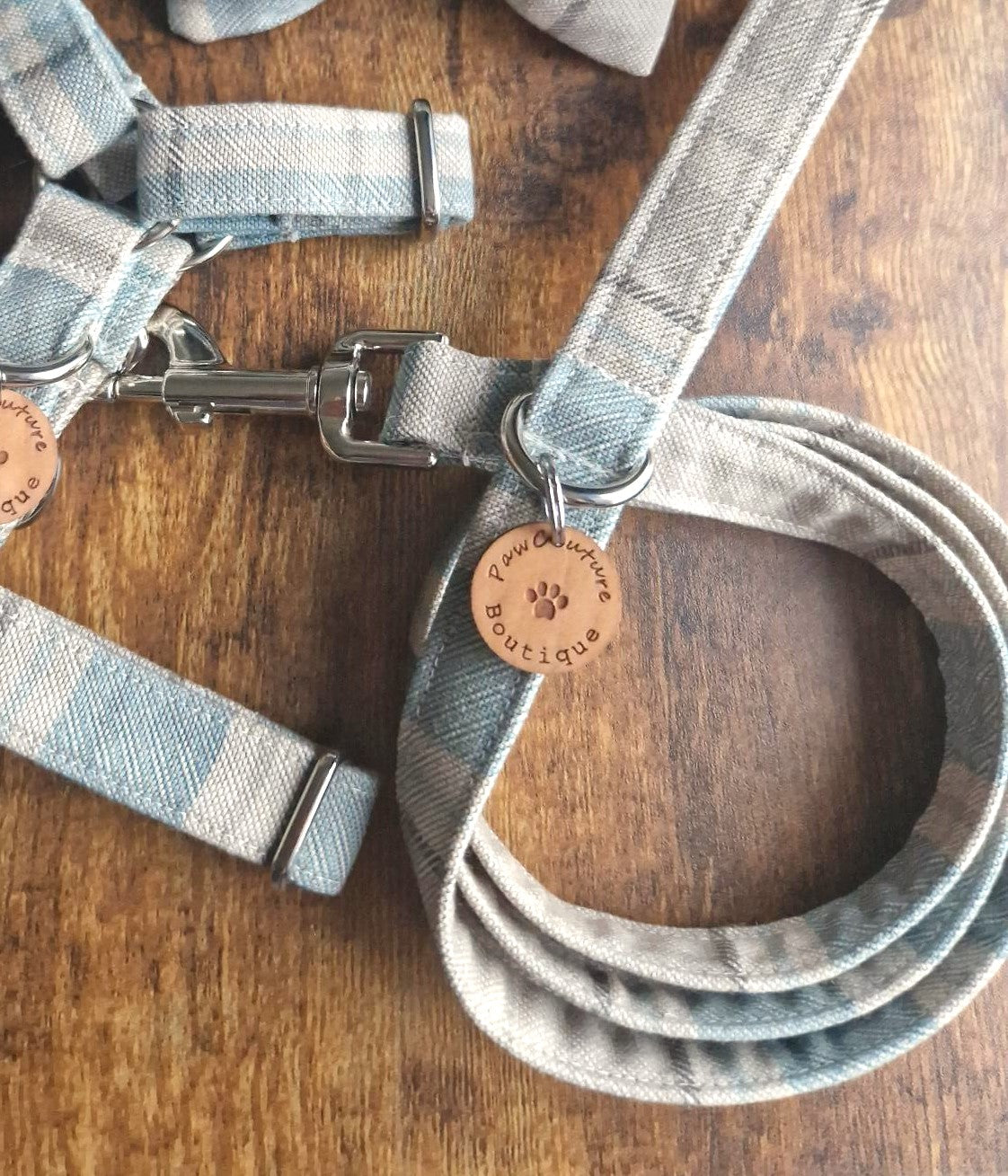 Costal Blue Dog Lead