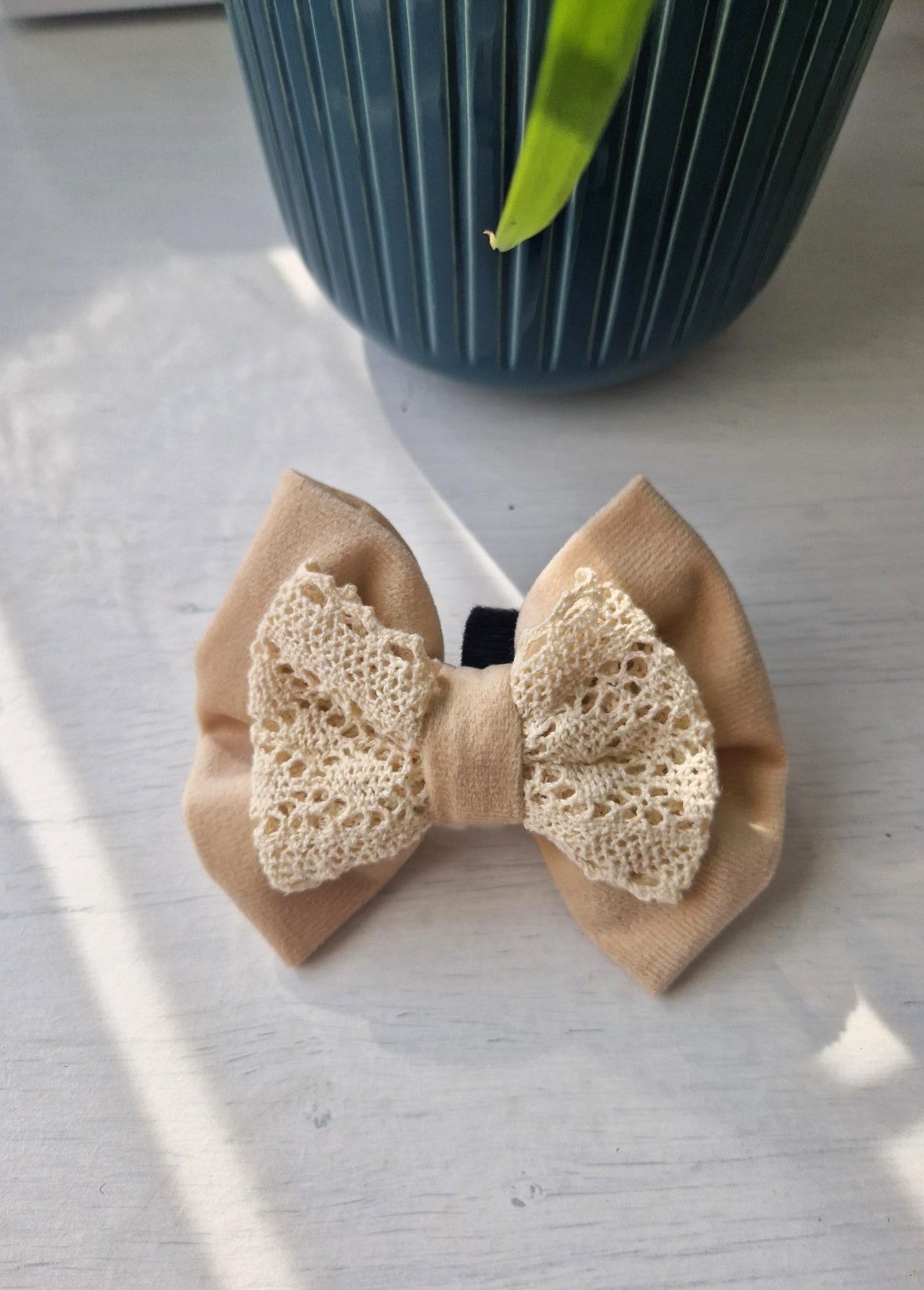 Coachella Cream Velvet Bow