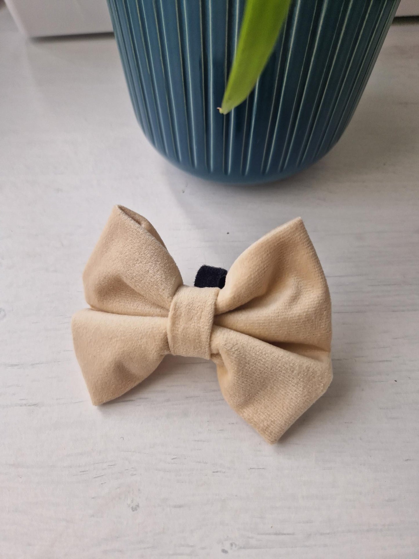 Velvet Cream Bow
