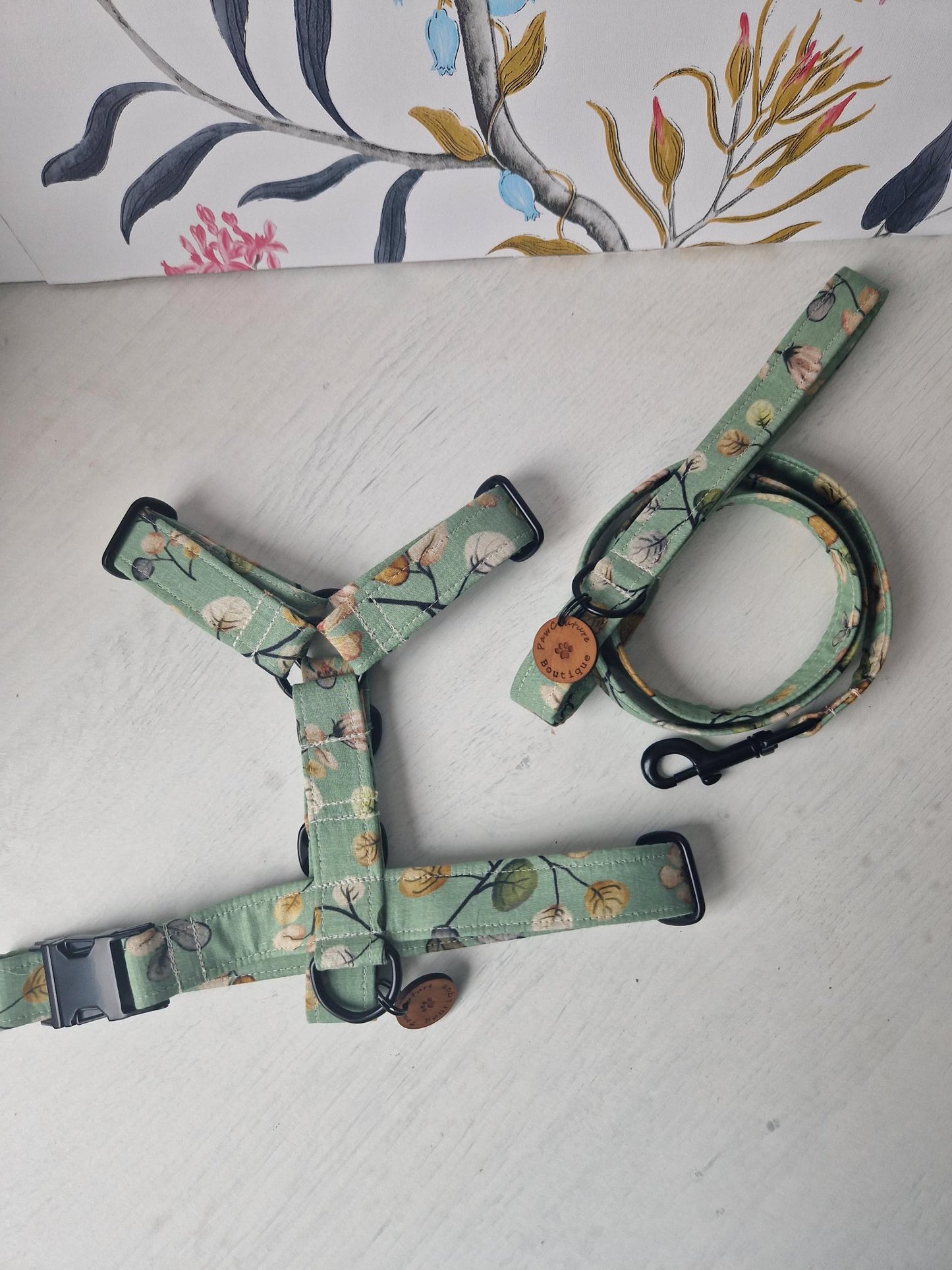 Harness & single Clip Lead Live Shopping