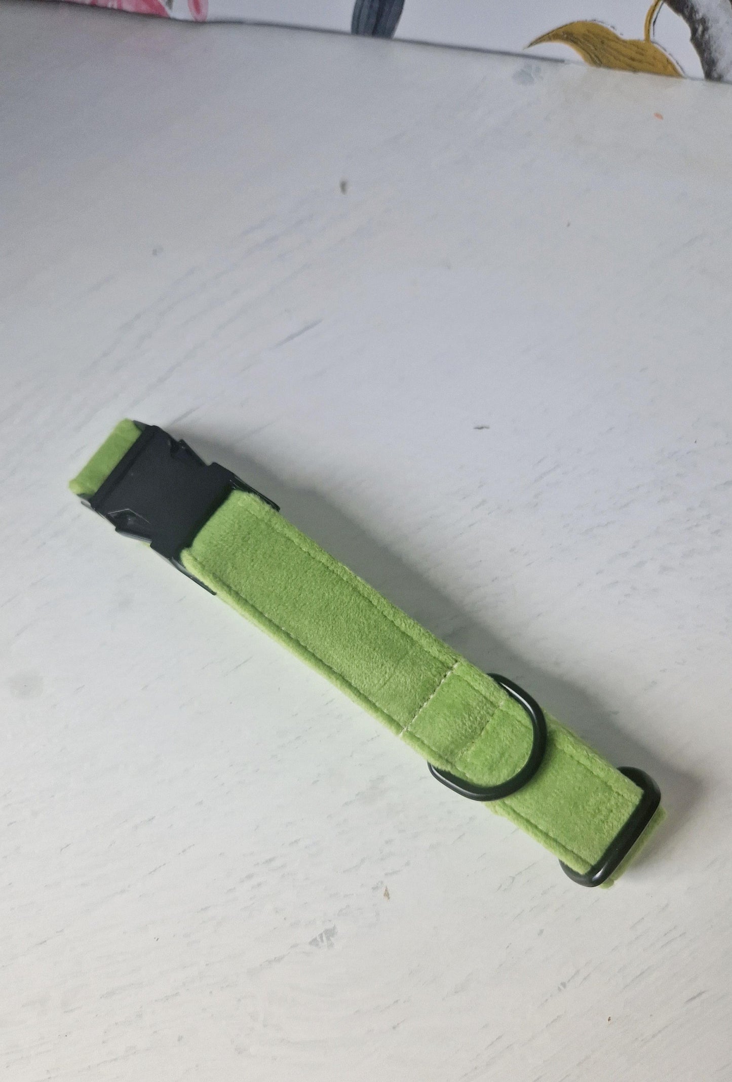 Velvet Lime Dog Collar