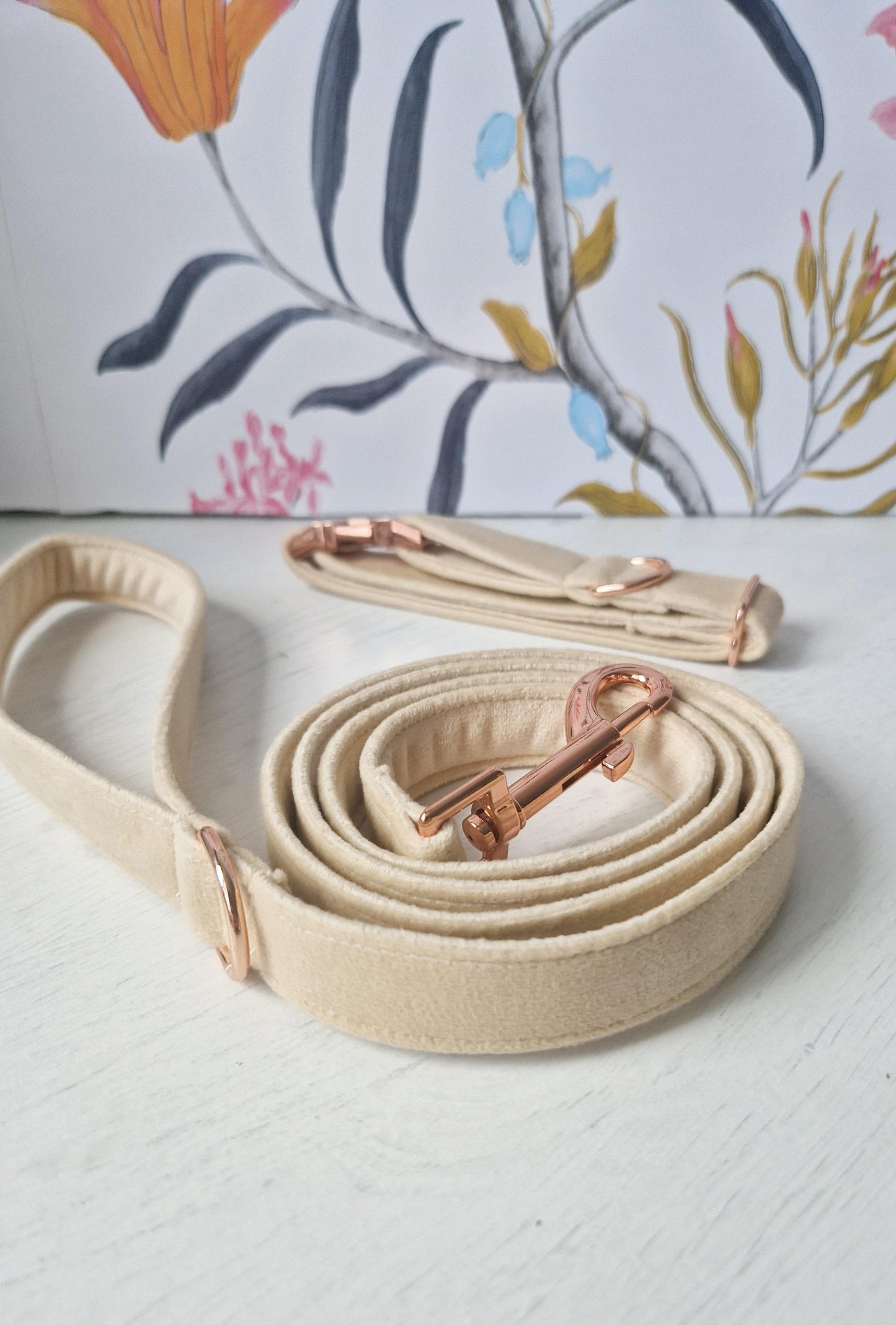 Collar & single clip Lead Live Shopping
