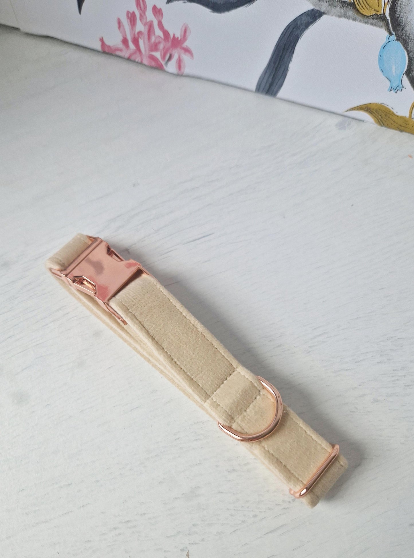 Velvet Cream Dog Collar