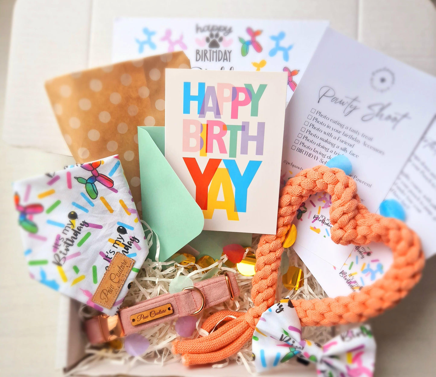 Dogs Birthday Pawty Box