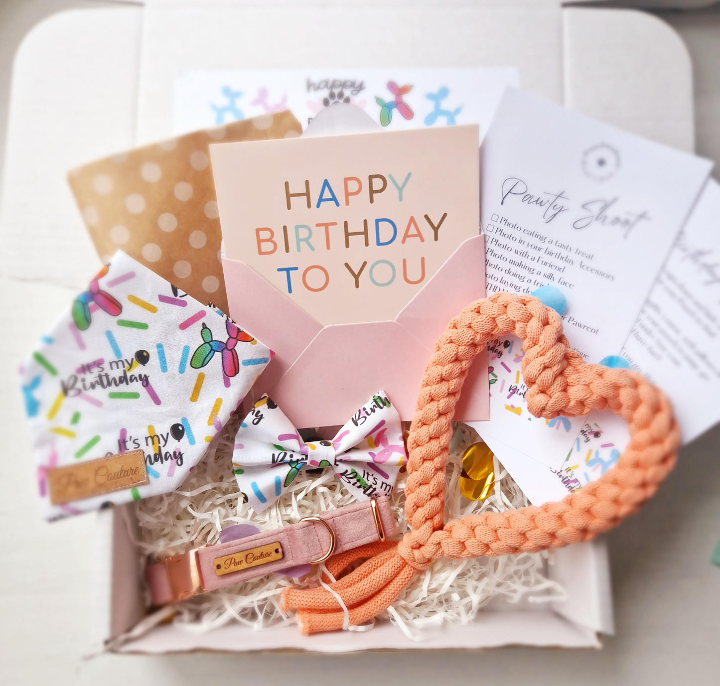Dogs Birthday Pawty Box