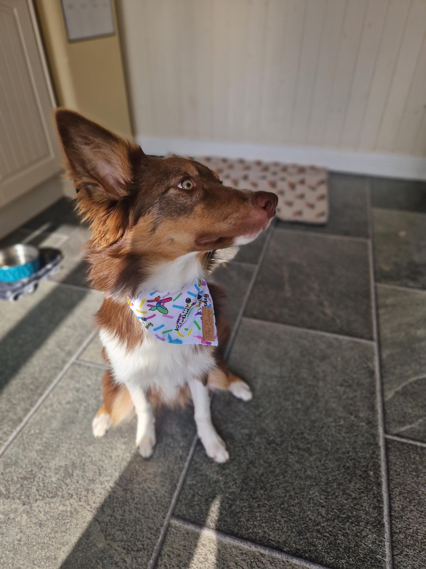Birthday Bandana