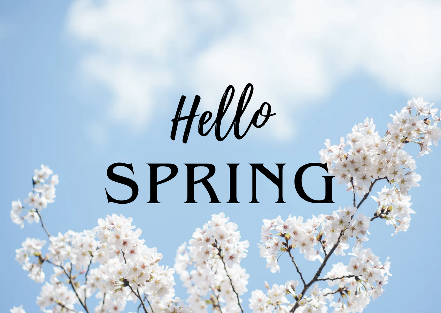 Monster Subsciption Box