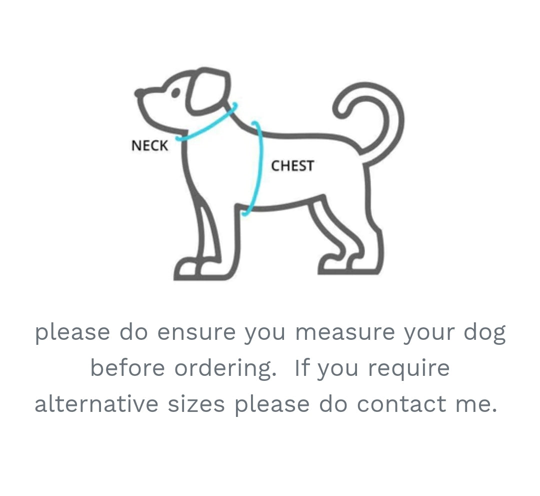 Velvet Autumn Spice Strap Harness