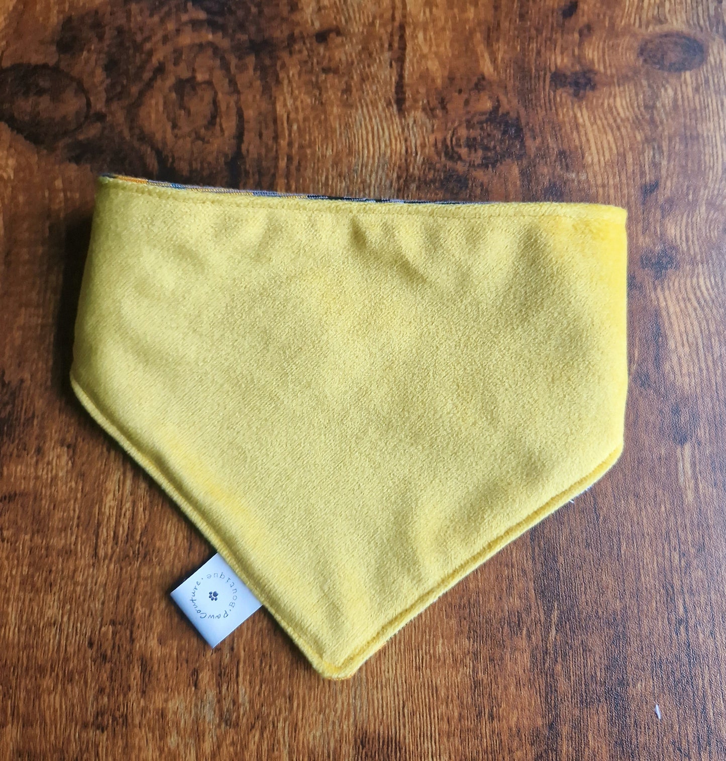 Tuscan and Honeydew Reversible Bandana