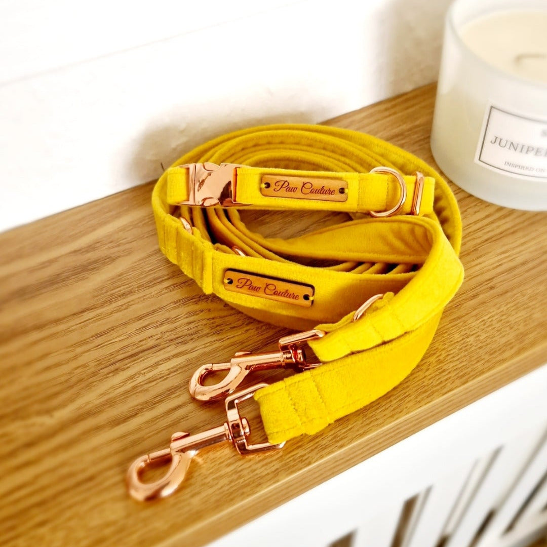 Collar & Double Clip Lead Live Shopping