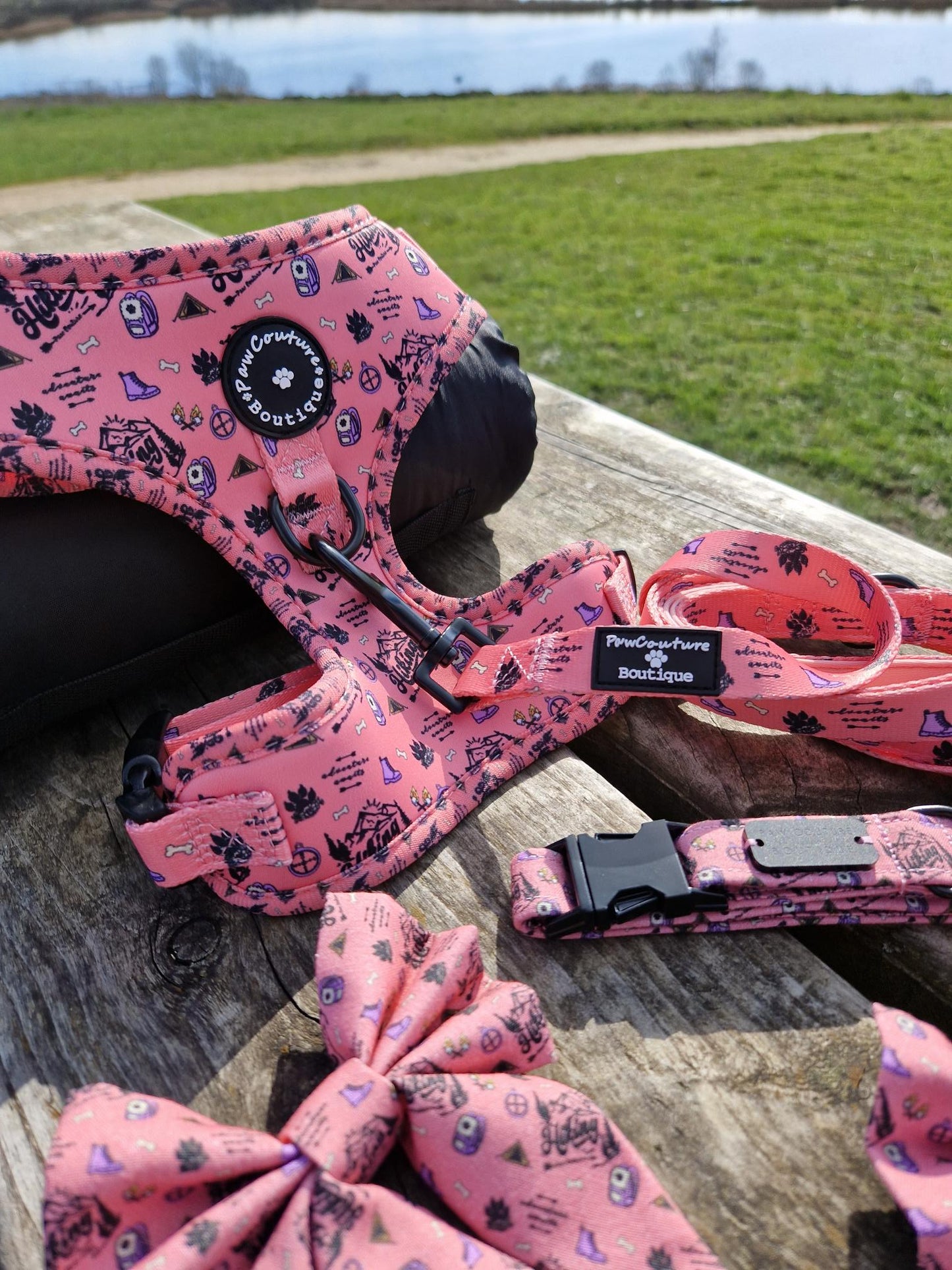Hike in Pink Bow