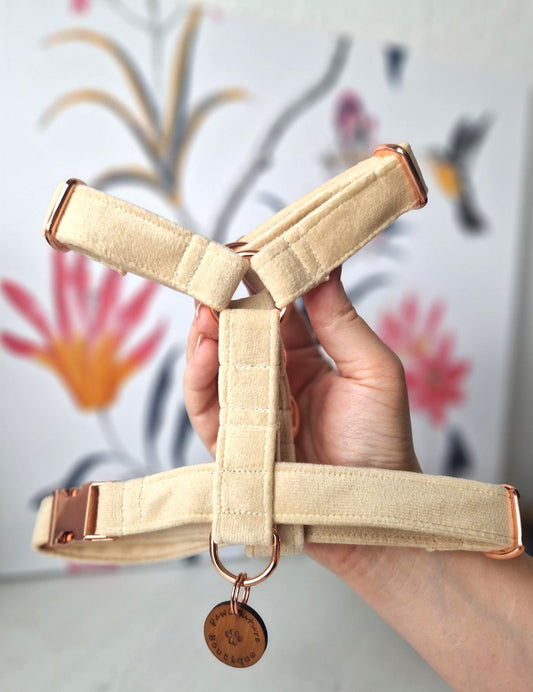 Harness Live Shopping